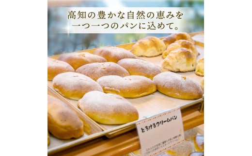 特上食パン 3斤 (1斤×3】 食パン ｜ 食パン高級 型 ふんわり しっとり 冷凍 パンストック 人気 有名 お取り寄せ おすすめ 高知県 須崎市 MNB002