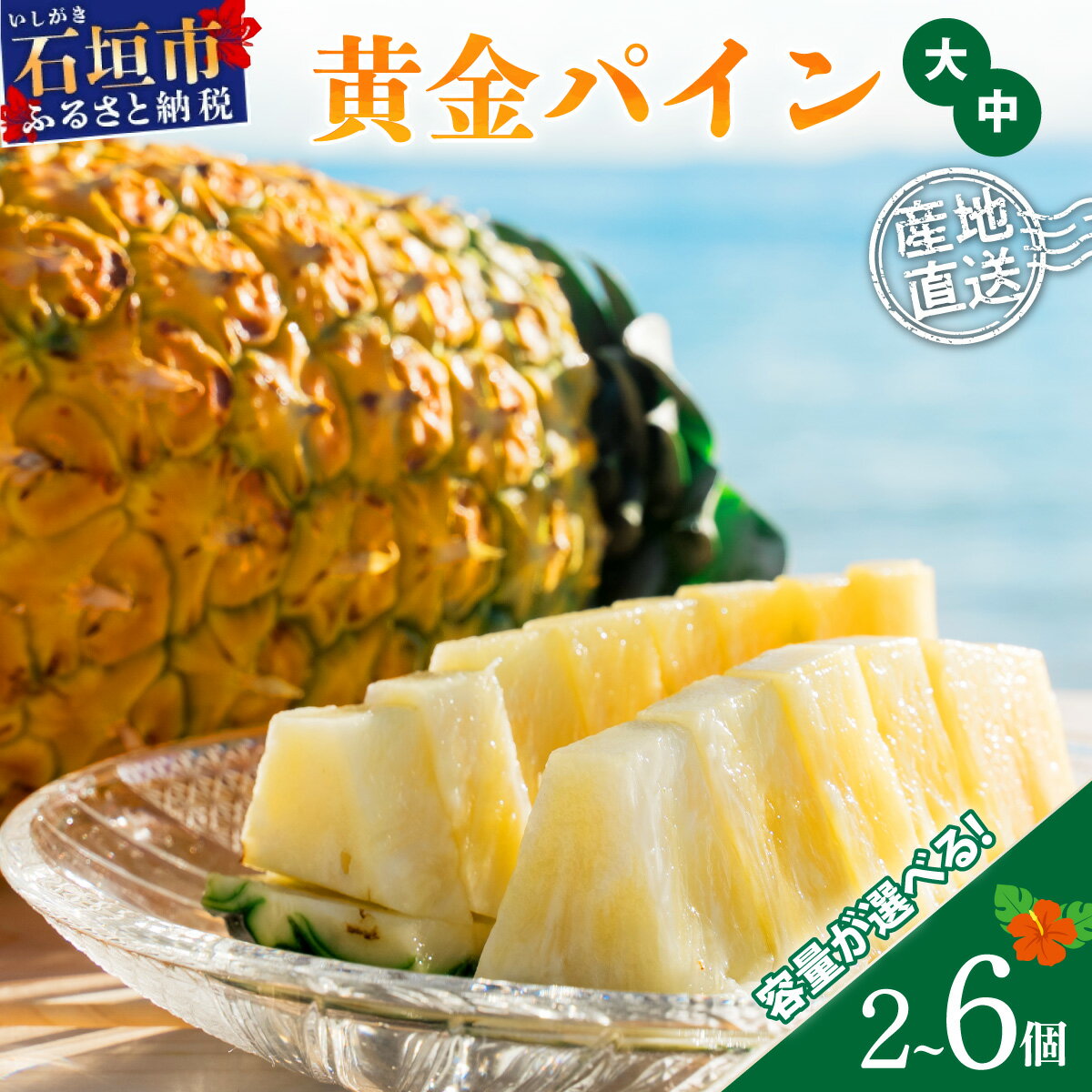 【ふるさと納税】＜先行予約＞黄金パイン大玉2〜6個入 計3.0〜9.0kg または 中玉黄金パイン2〜6玉 約2.6〜7.8kg ＜2026年7月 順次発送＞ | 産地直送 沖縄 石垣 フルーツ パイナップル パイン 黄金パイン