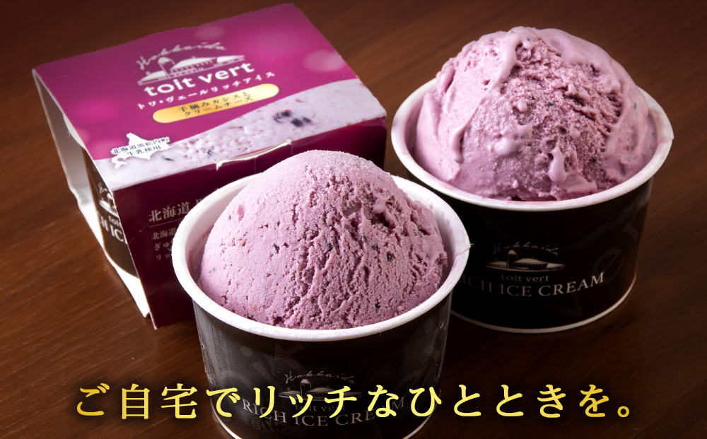 リッチアイスクリーム 手摘みカシスとクリームチーズ 18個セット（100ml）アイス スイーツ おやつ 冷凍 食べ比べ