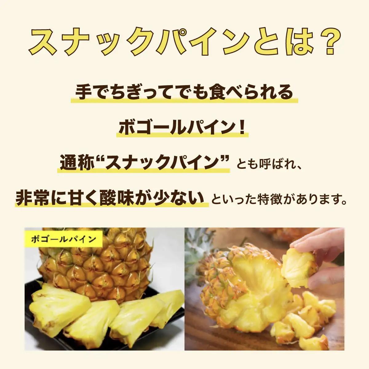 【2027年 先行予約】スナックパイン 約4.5kg