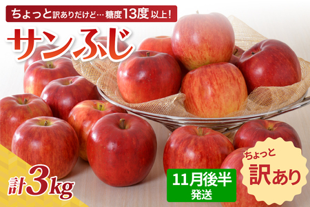【先行受付】【2025年11月後半発送】【ちょっと訳あり】サンふじ3kg