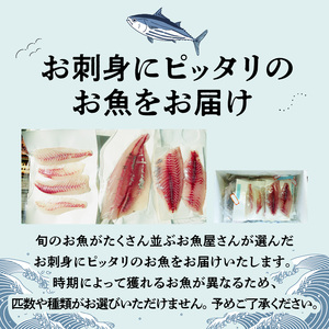 S121-003A_刺身コース