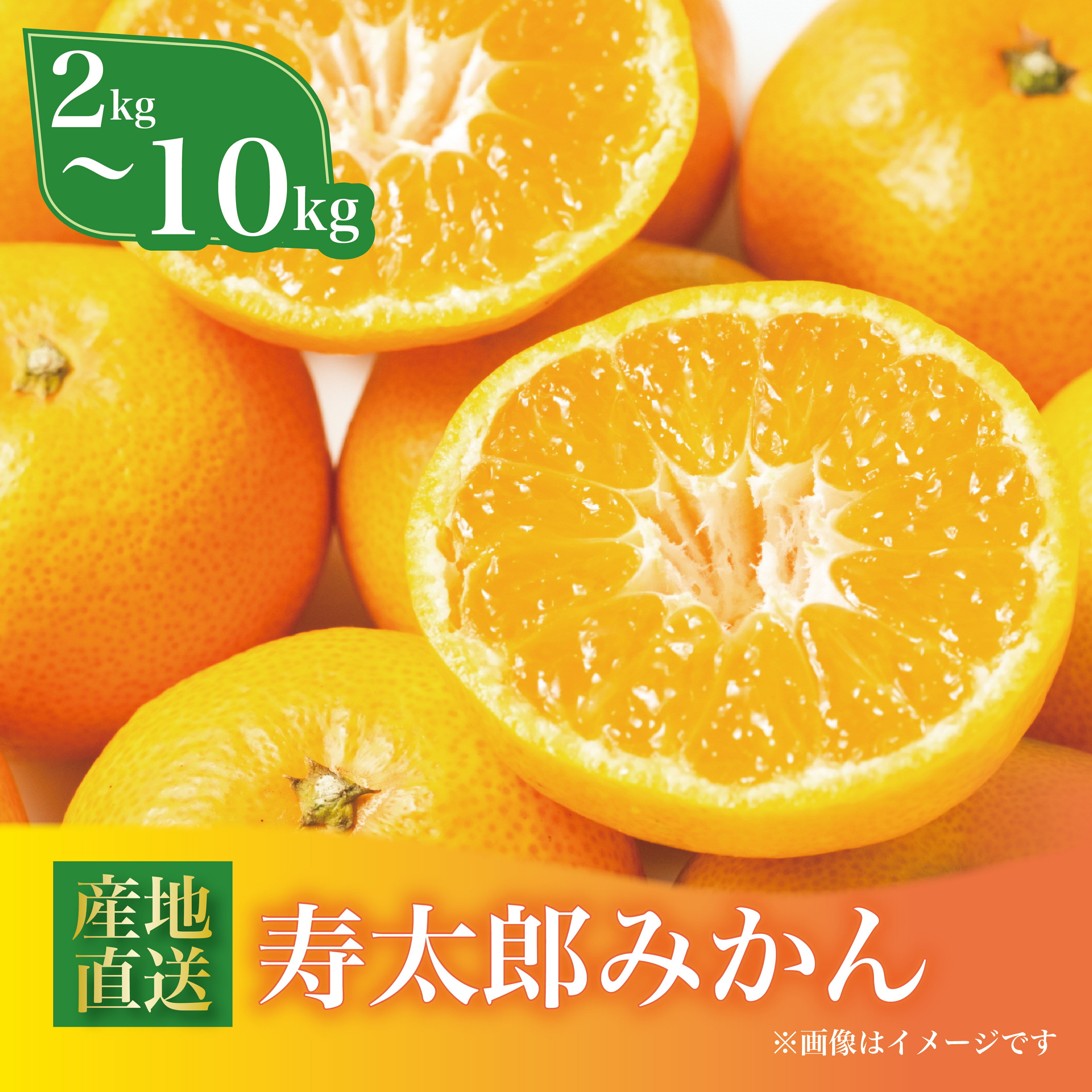 【ふるさと納税】 寿太郎 みかん 約2kg～10kg 西浦 柑橘 本格 熟成 数量限定 果物 フルーツ 国産 ミカン 蜜柑 温州みかん 柑橘類 旬 季節 贈答用 ギフト 贈り物 おやつ デザート 産地直送 農家直送 特産品 甘い 沼津市 静岡県