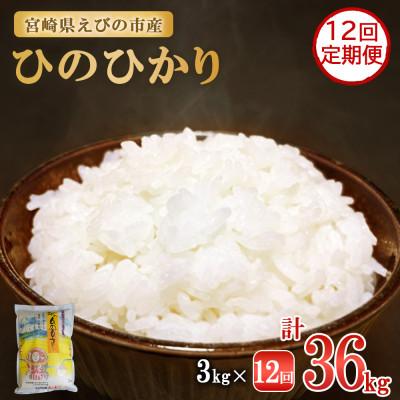 ふるさと納税 えびの市 【毎月定期便】えびの産 ひのひかり 3kg全12回