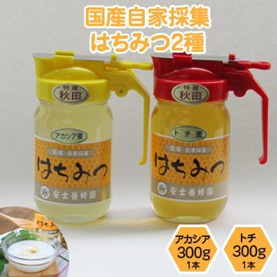ふるさと納税 横手市 国産自家採集はちみつ2種詰め合わせ(アカシア・トチ　合計2本　600g)