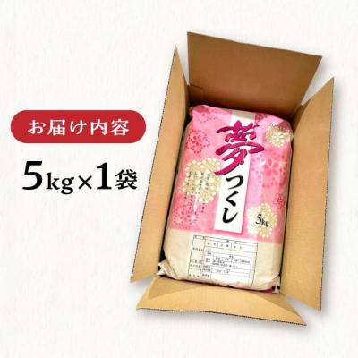 ふるさと納税 糸島市 糸島産 夢つくし 5kg 糸島市/三島商店[AIM001] |  | 03