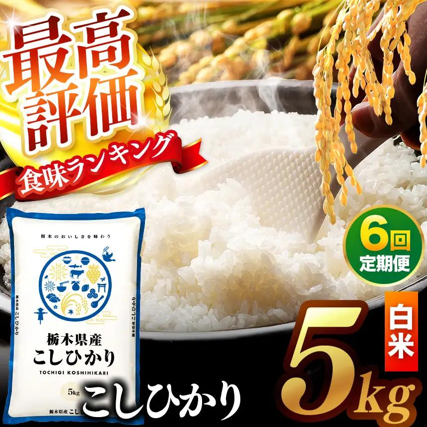 【先行予約】【定期便6回】 ＼白米／ 真岡市産コシヒカリ 5kg