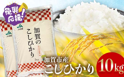 【通常発送】復興応援米 令和7年産こしひかり 10kg(5kg×2袋) F6P-2925