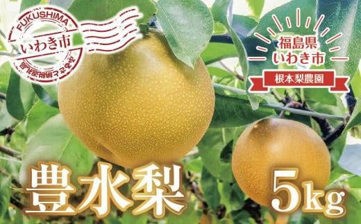 【先行予約】梨（豊水）約 5kg 福島県 いわき市産 なし ナシ 5キロ ほうすい梨  2026年産 先行予約 旬の果物 旬のフルーツ 高評価 大人気 おすすめ 旬の梨 和梨 果実 豊水梨 酸味 甘み 品種 果肉 果汁 たっぷり 果物 くだもの デザート フルーツ fruit nasi 特産品