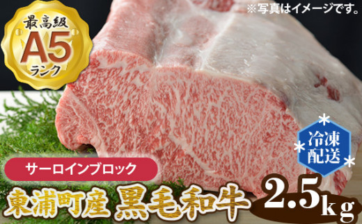 
No.031 東浦町産最高級A5ランク黒毛和牛　サーロインブロック（約2.5kg） ／ 牛肉 国産 霜降り 愛知県
