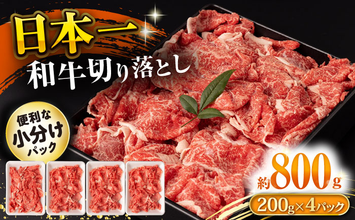 
長崎和牛 切り落とし肉 800g 大村市 おおむら夢ファームシュシュ [ACAA141]
