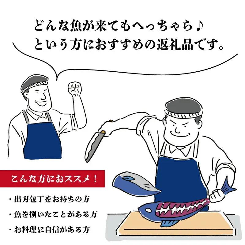 伊勢湾直送 なにが届くかな 明和の海産ガチャ Sサイズ 魚 貝 干物 海藻 新鮮 海鮮 海産 直送 海 漁師 おまかせ 旬 季節 お楽しみ 選べる内容量 I52