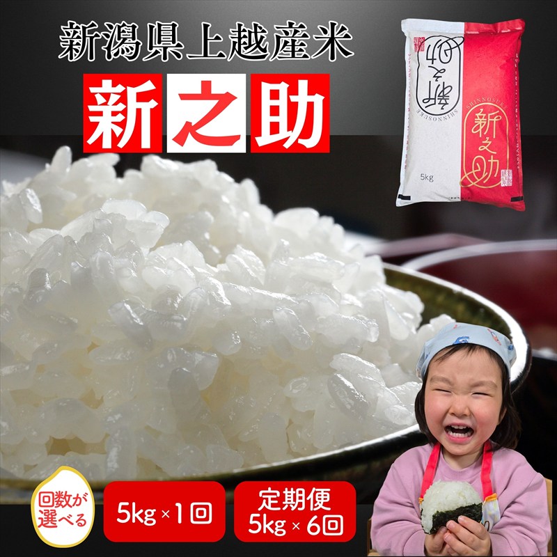 【ふるさと納税】先行予約 令和8年産 令和7年産 上越市産新之助 5kg 5キロ 30kg 30キロ（5kg×6回） 新米 精米 新潟 米 新之助 定期便 新潟県 上越市 限定 おすすめ 米ヴィレッジさんわ　お届け：記載の配送開始日から順次発送