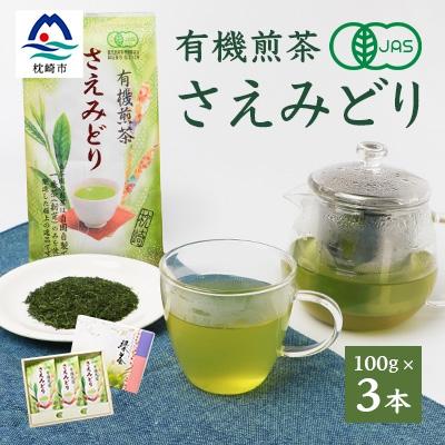 ふるさと納税 枕崎市 1番茶(新芽)のみを使用 有機煎茶【さえみどり】KAORU園 (100g×3本)  B3-60