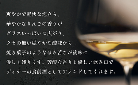 SAYS FARM シードル 750×2本セット 