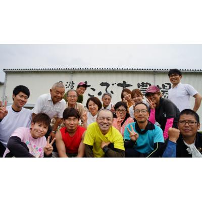 ふるさと納税 丹波篠山市 令和7年産!丹波篠山のこしひかり精米5kg×2袋 |  | 03