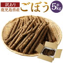 【ふるさと納税】【訳あり】鹿児島県産 土付きごぼう 5kg AS-001 ごぼう 土付き 規格外 訳アリ しもそえだ農園 鹿児島県 薩摩川内市 送料無料【2025年1月上旬～3月下旬発送予定】