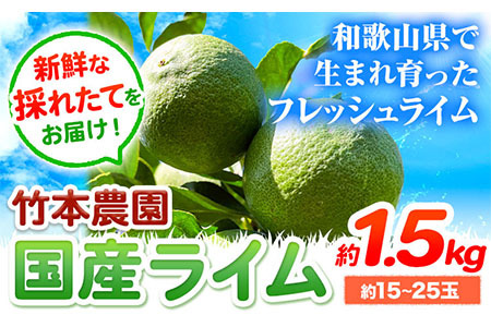 国産ライム 約1.5kg ライム