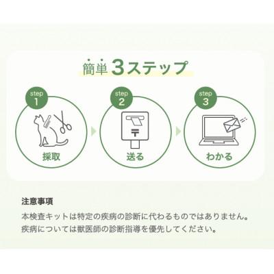 ふるさと納税 藤沢市 ネコ体毛ホルモン量測定キット〜コルチゾール〜　ネコの慢性ストレスチェック |  | 03