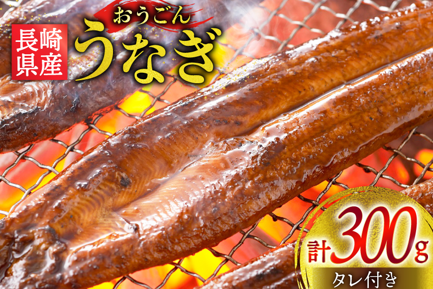 うなぎ 国産 蒲焼 長崎県産 おうごんうなぎ 約300g 2尾〜3尾 [松永水産 長崎県 平戸市 hr42bgy400221] 鰻 うな重 うな丼 ひつまぶし 蒲焼き かばやき タレ付き 養殖 国内産 1尾 3尾 冷凍 unagi