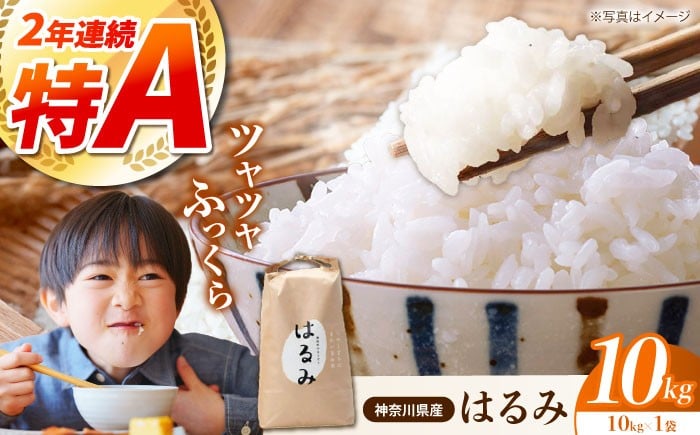 
                  【 令和7年産 】神奈川県産 白米 はるみ  10kg（10kg×1袋） 単品 | 米 お米 こめ 小分け 人気 コメ お米 10kg ブランド米 開成町 家庭用 送料無料 神奈川 かながわ 神奈川県 開成 開成町 人気 ごはん 米 おこめ お米 白米 こめ ライス rice kome ごはん ご飯 コメ ブランド米 精米 人気 おすすめ 10キロ R7 10kg 国産 特A [BDAF002] 
                