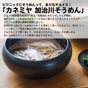 J46_01　セキカワのハッピーキャンプ紅白そうめんセット【 お祝い 乾麺 セキカワカナモノ 】