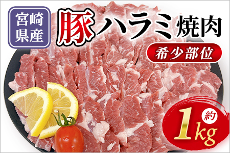 宮崎県産希少部位 豚ハラミ焼肉 約1kg 国産 豚肉 ぶたにく お肉 はらみ 焼き肉 ブタ ステーキ BBQ 1キロ  使いやすい 小分け パック 真空冷凍 お弁当 ジューシー 肉質 柔らかい 上品 豊かな味わい 味彩豚 ブランド 数量限定