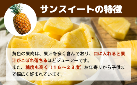 【2024年5月～7月（全3回発送）】南国の美味しさを！パイナップル 定期便 B