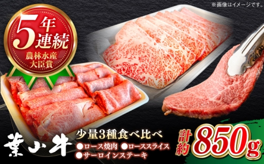 焼肉 葉山牛 少量3種食べ比べセット 焼き肉 (ロース・ローススライス・サーロインステーキ)／ 焼き肉 牛肉 肉 焼肉用 神奈川県 葉山町 焼き肉セット【葉山牛ステーキレストラン 角車】 [ASBD019]