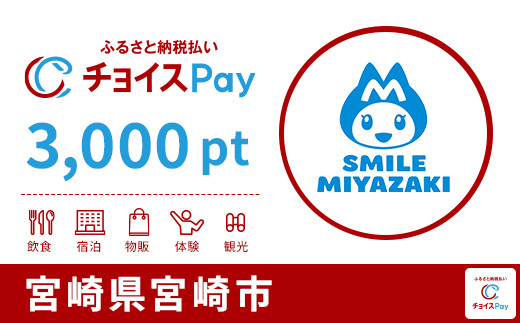 
            宮崎市チョイスPay 3,000pt【会員限定のお礼の品】
          