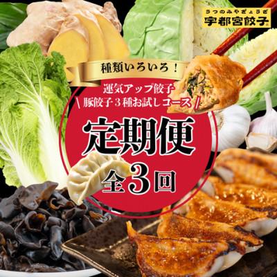 ふるさと納税 宇都宮市 【毎月定期便】宇都宮餃子　運気アップ豚餃子3種お試しコース(毎月1種・18個入り・冷凍)全3回