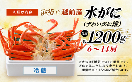 【期間限定】浜茹で 越前産 水がに 1200g（6～14肩） 脱皮したてのずわいがに【福井県 越前町 かに カニ 蟹 ずわいがに ズワイガニ 雄 ズボガニ 水ガニ かに足  冷蔵 越前ガニ 越前かに 