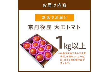 【先行予約】京丹後産 大玉トマト 1kg以上 春夏発送（2025年5月中旬～発送）