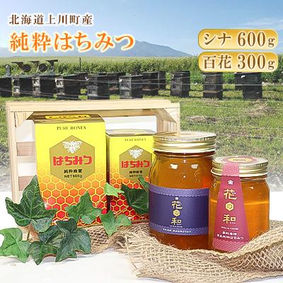 ふるさと納税 上川町 北海道上川町産　純粋はちみつ600g×1本(シナ)300g×1本(百花)【1301】