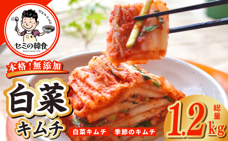 韓国人が作る！無添加・砂糖不使用の白菜キムチ 総量 1.2kg【高評価 人気 惣菜 きむち 漬物 韓国グルメ おつまみ 大阪 泉佐野 大阪府 泉佐野市】