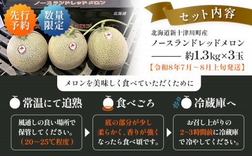 【先行予約】【数量限定】 赤肉メロン3玉【令和８年７月～８月上旬発送】