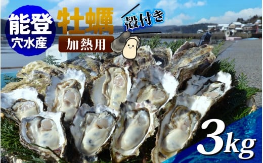 鮮度抜群！獲れたてをお届け！ 能登穴水の牡蠣(殻付) 加熱用 3kg | 奥能登 能登半島 冷蔵 真牡蠣 3キロ ナイフ付き 肉厚 殻付き 海鮮 魚介類 海産物 バーベキュー BBQ 貝 オイスター