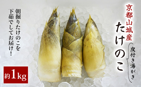 京都山城産たけのこ 湯がき済み 約1kg(4月発送) 【 たけのこ 】