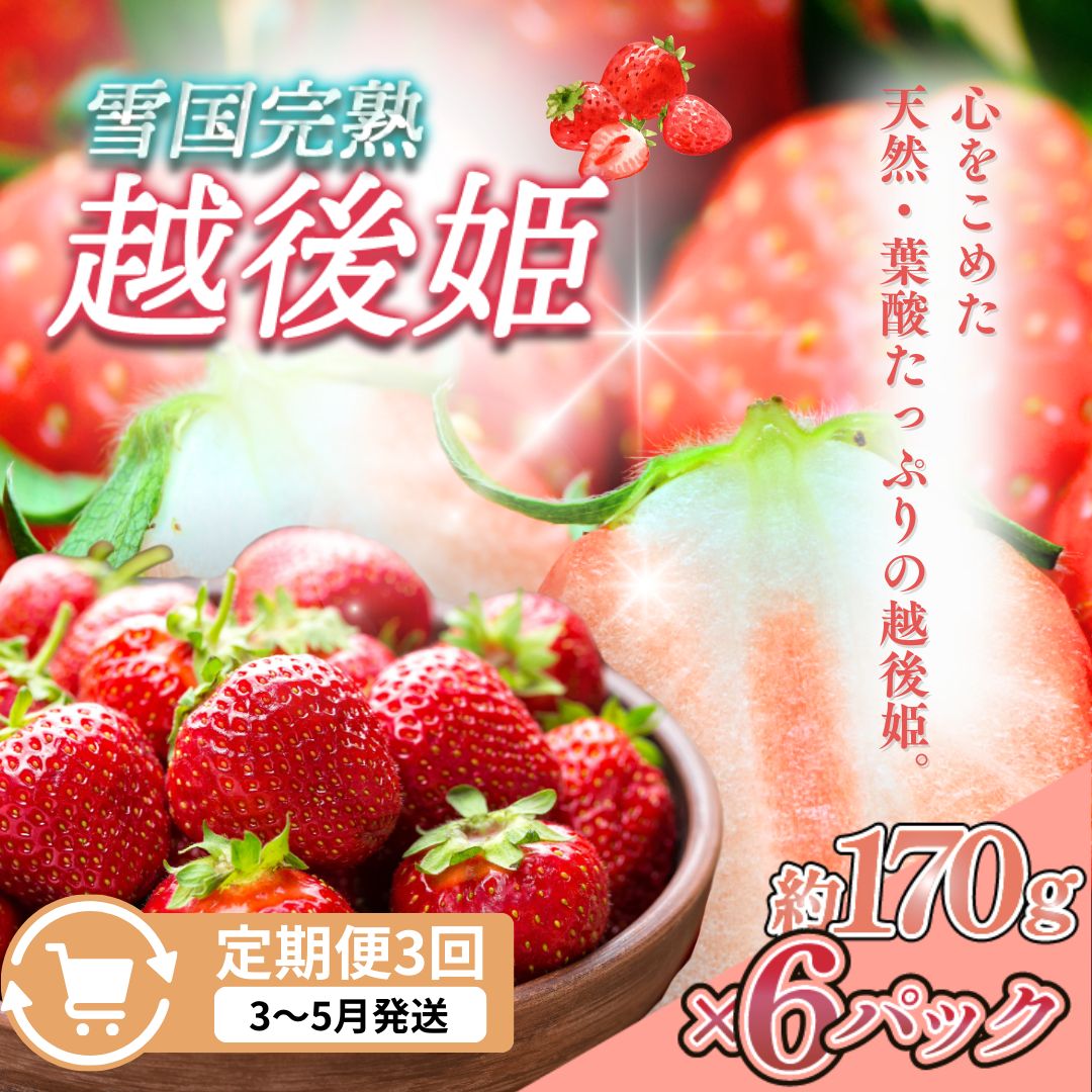 【ふるさと納税】先行予約 定期便 3回【3～5月発送】雪国完熟いちご越後姫 170g×6全3回 定期配送 越後姫 いちご 定期便 完熟 苺 新潟 苺の花ことば　お届け：ご入金確認後、2027年3月～5月の月1回お届け
