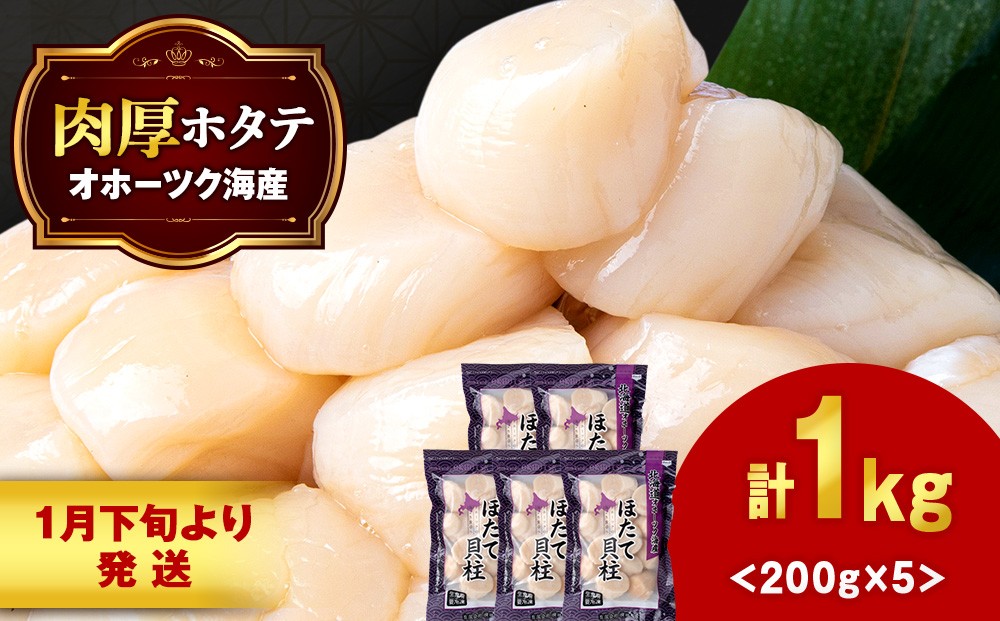 
            【1月末発送】ほたて 貝柱 冷凍 200ｇ(15粒前後)×5パック お取り寄せ 刺身 《横田水産》
          
