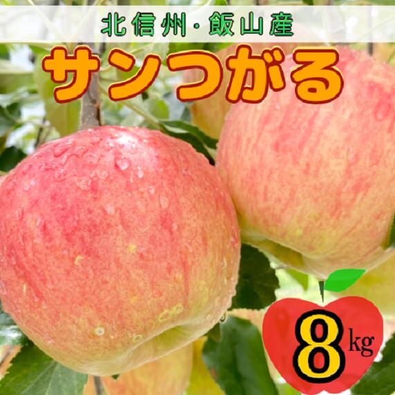 【ふるさと納税】＜先行予約＞サンつがる【約8kg(24〜36玉)】(7-A19-3)＜出荷開始：2025/9月上旬～下旬＞【 林檎 りんご リンゴ 果物 くだもの フルーツ 長野 長野県 飯山市 大容量 ギフト プレゼント 記念日 誕生日 父の日 母の日 敬老の日 記念品 残暑見舞い 】