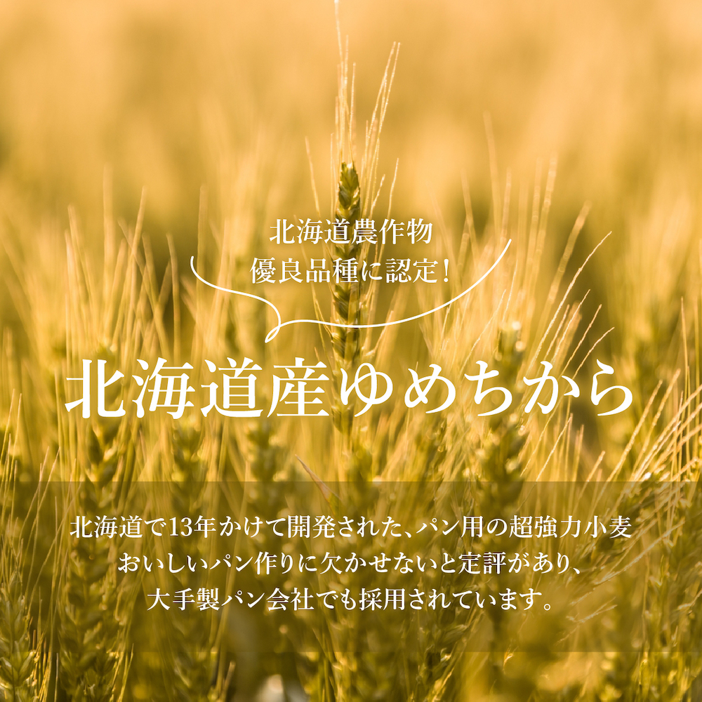 【北海道産小麦】ゆめちからブレンド粉（強力粉）500g×8袋【290003】_イメージ3