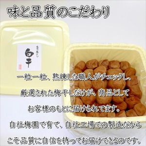 【1277-1】紀州南高梅　白干梅　850ｇ