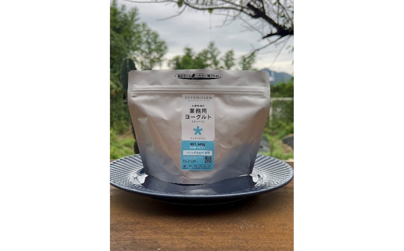 大富牧場のグリークヨーグルト 450g・プレーンヨーグルト 600g 食べ比べセット / ヨーグルト 牧場 乳製品 低温殺菌 / 佐賀県 / 大富牧場フライングカウ [41ANAG009]