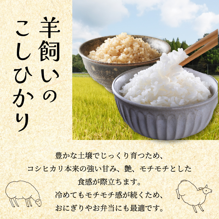 コシヒカリ【肥料・農薬：栽培期間中不使用】瀬戸内三原 羊飼いのこしひかり７分搗き 2.3kg 瀬戸内ビオファーム お米 こめ ご飯 002010