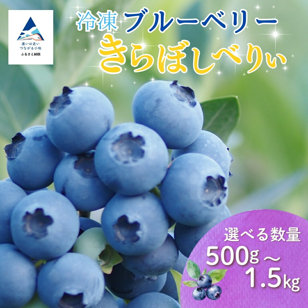 【ふるさと納税】 小松産ブルーベリー 冷凍 (選べる容量 500g/100g/1500g)ブルーベリー フルーツ 果物 小松市 こまつ 石川県 012122【きらぼしファーム】
