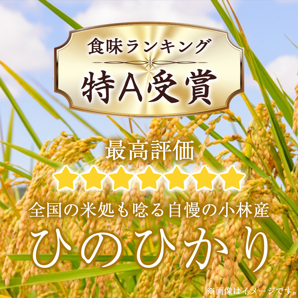 【定期便 全6回】【令和7年産米】無洗米ヒノヒカリ 10kg×6回 お米 米 新米 ヒノヒカリ 無洗米 国産 人気 お弁当 宮崎県 小林市