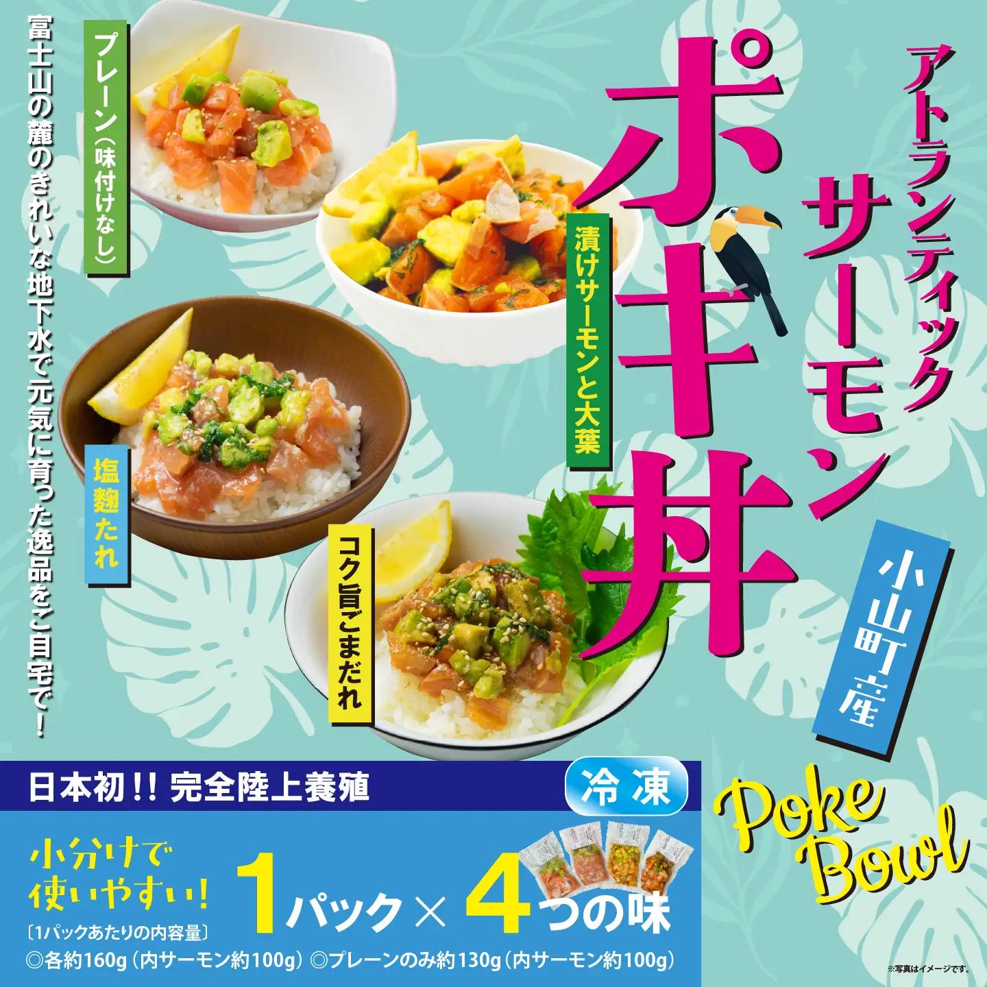 ポキ丼 サーモン 冷凍 食べ比べ 約160g/約130g×1P×4つの味 サーモン 海鮮丼