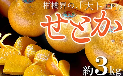 
                  柑橘界の大トロ！三豊市の「せとか」　約3kg FAH-0020
                