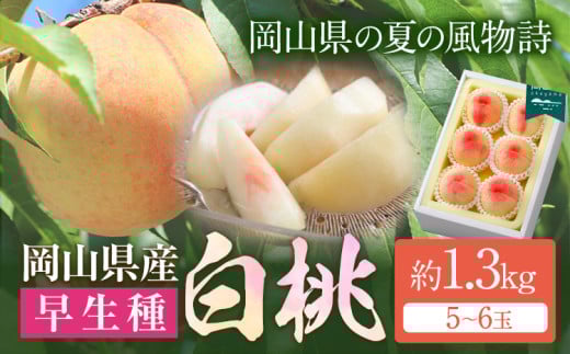 【令和7年度先行予約】岡山県産 白桃 （早生種） 約1.3kg （5～6玉） クール便 晴れの国 おかやま館(漂流岡山) 《2025年7月上旬-8月中旬頃出荷》岡山県 浅口市 白桃 桃【配送不可地域あり】(離島)
